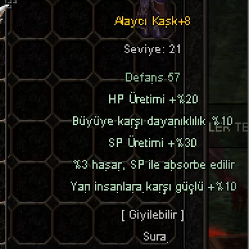  +8 ALAYCI KASK 10 YARI 10 BÜYÜ WS LİK